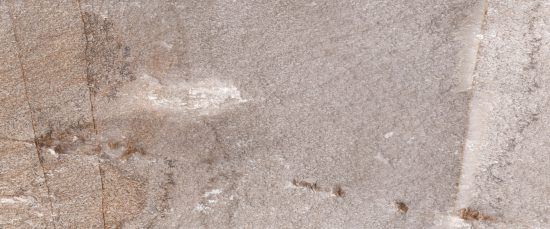 PLATINUM 1 25x60 - 97426