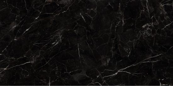 BLACK AND WHITE - 20176