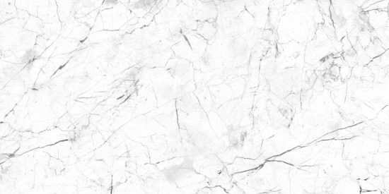 BLACK AND WHITE - 47662