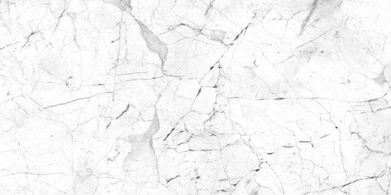 BLACK AND WHITE - 56990