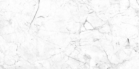 BLACK AND WHITE - 95406